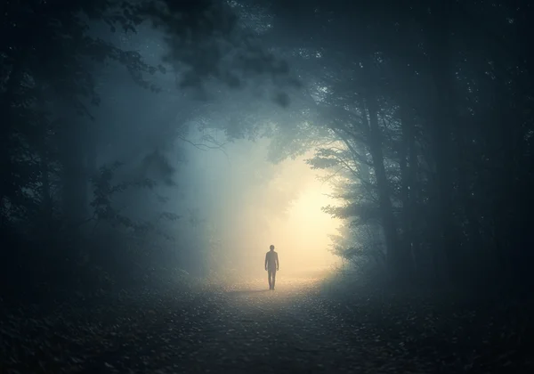 Seseorang muncul dari kabus, mencari kejelasan di jalan bipolar